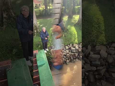 Parana De las Palmas Escobar