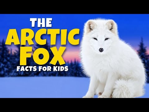 The Mysterious Arctic Fox 🦊 - Fun Educational Facts for Kids