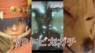 【モンスターハンターライズ】やばい…タイトルが思い付かん笑狩猟笛縛り#14