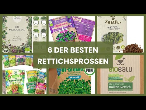 Rettichsprossen: 6 der besten Rettichsprossen