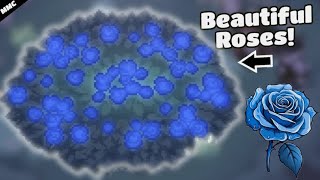 Blue Rose Ocean - Little witch in the woods full release