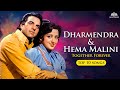 Dharmendra And Hema Malini Songs Chehra Tera Allah Allah Tum Haseen Main Jawan Romantic Jukebox
