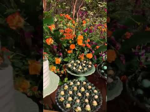 V&iacute;deo 4