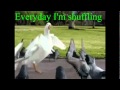 Everyday I'm Shuffling - Goose 