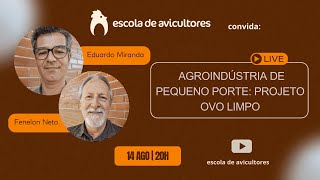 Projeto Ovo Limpo da Embrapa: valorização de ovos caipiras