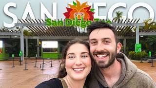 Exploring the Entire San Diego Zoo | Full Day Walking Tour