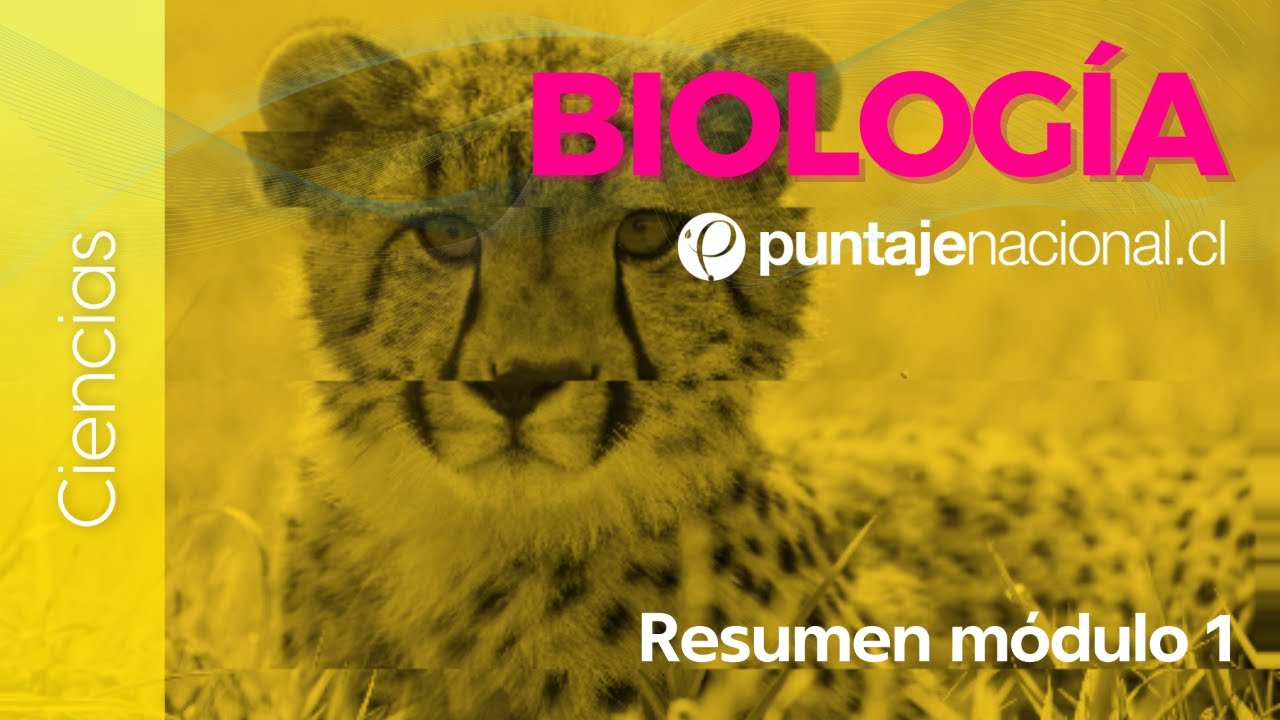 PAES | Biología | Resumen módulo 1