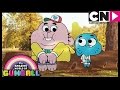 Gumball Nicole Meets Richard Cartoon Network