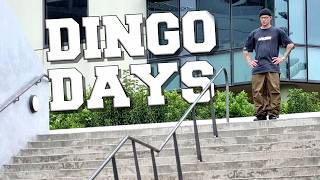 DINGO DAYS - Carl Tangen