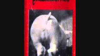 Pixamandurries - L´any Dels Gossos