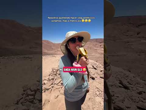 Hola mis weñes!! Hicimos viajecito a San Pedro de Atacama y se viene muy weno este vlog que subir...