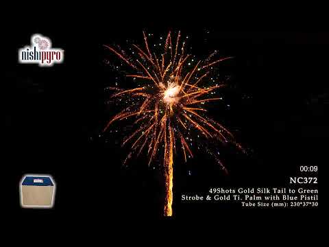 NC372 - Gold Palm Beach