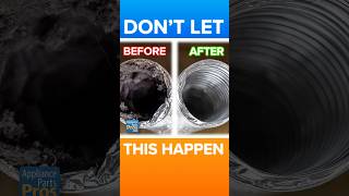 Why You Must Clean Your Dryer Vent to Avoid Lint & Bird Next Disasters