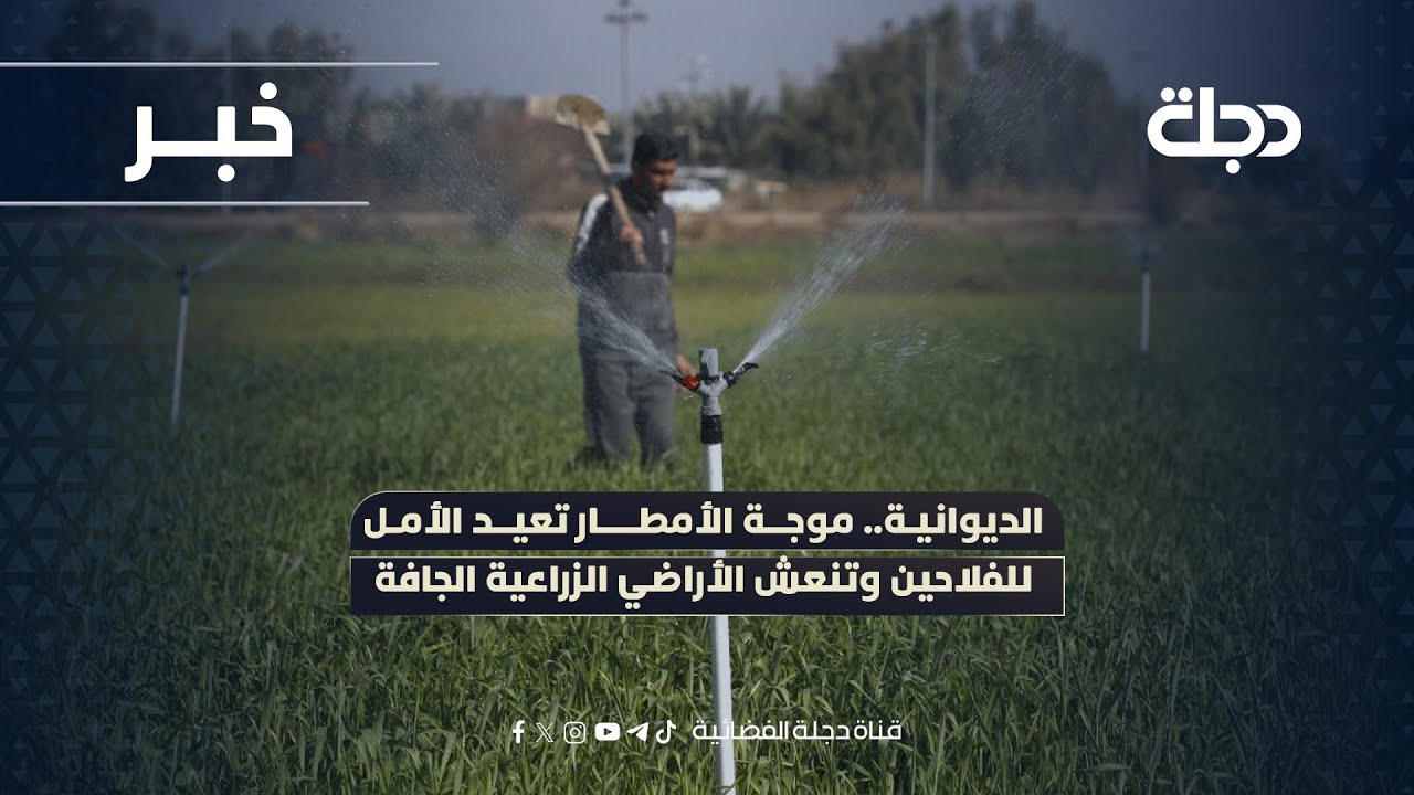 فيديو | الديوانية.. موجة الأمطار تعيد الأمل للفلاحين وتنعش الأراضي الزراعية الجافة
