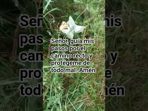 Guíanos #callao #amor #españa #lima #usa #frases #peru #mexico #fe #feedshorts #chile