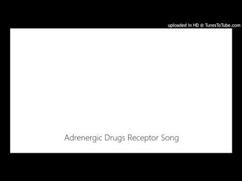 Adrenergic Drugs Receptor Song