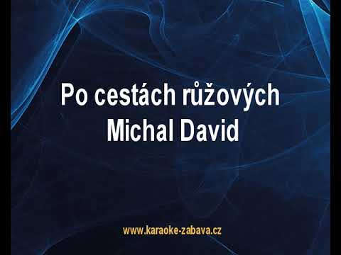Po cestách růžových - Michal David Karaoke tip