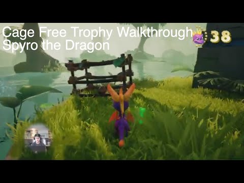 Spyro the Dragon - Cage Free Trophy Achievement Guide - PS4, Xbox One