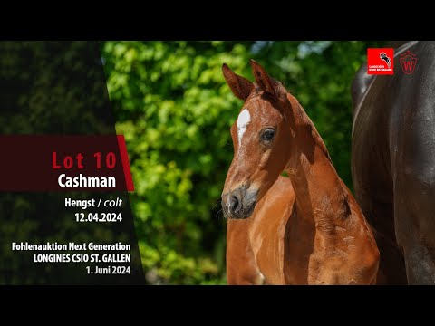 Fohlenauktion Next Generation Lot 10 Cashman Hengst v. Comme il faut NRW - Kannan