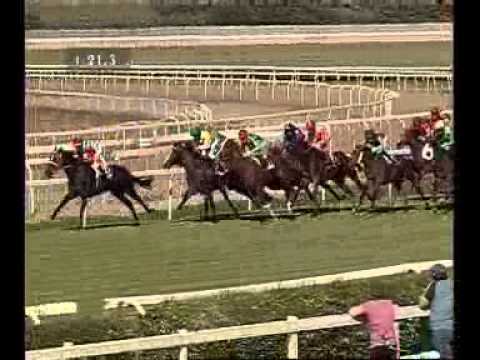 HUNTZBERGER__Pr. Dr Devious 07/06/2013, Roma