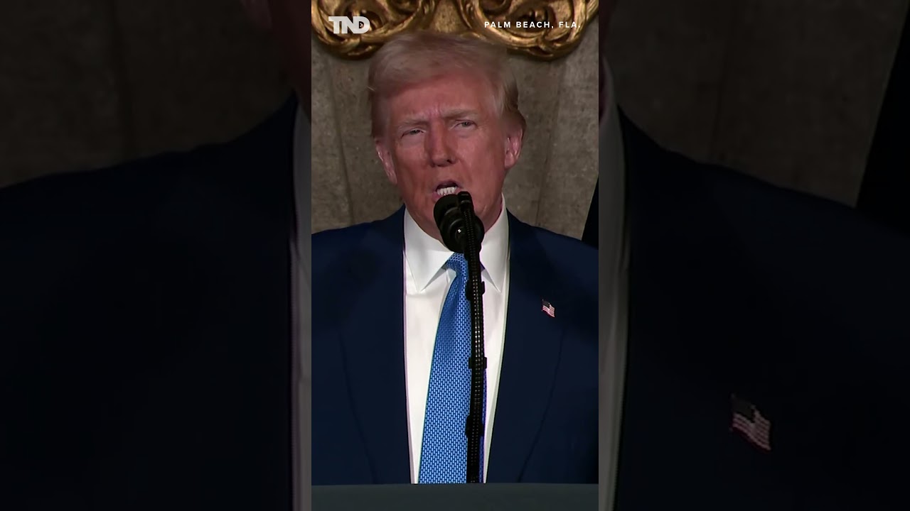 Trump on the Department of Government Efficiency