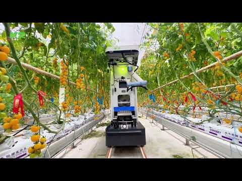 Vidéo YouTube - s4oj91jVk44