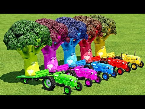 LOAD & TRANSPORT GIANT BROCCOLI WITH MINI TRACTORS - Farming Simulator 22