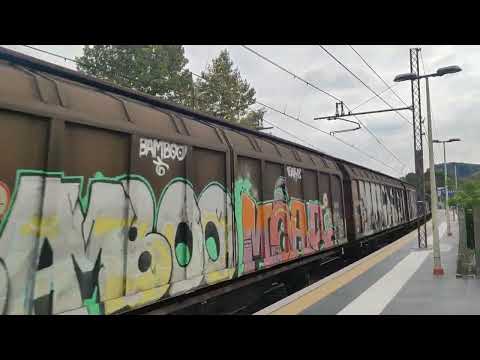 E483.319 akiem db cargo in transito a cucciago