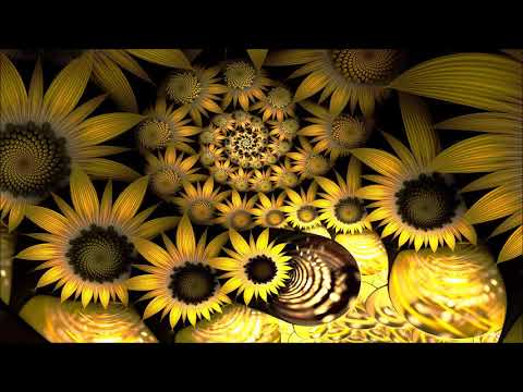 Cold Turkey II - 1999 - Sunflower (Transa Remix)