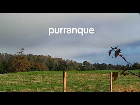 Purranque osorno región de los lagos 