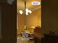Видео превью