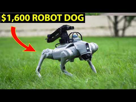 Unitree Go2 | The $1,600 Robot Dog and What It Can Do