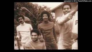 100 PROOF AGED IN SOUL - TOO MANY COOKS (SPOIL THE SOUP)