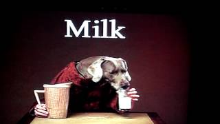 Dog Drinks Milk