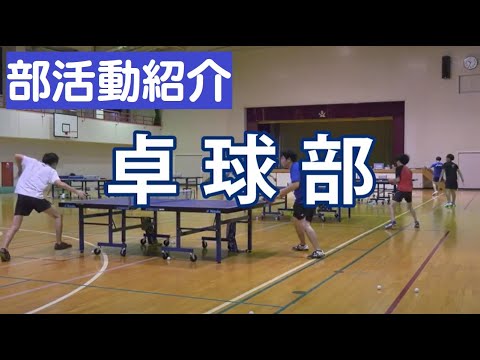 【東日本国際大学】卓球部紹介