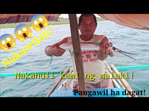 Nakahuli kami ng malaki | Pangawil ha Dagat | Pepelitan, Borongan City, Eastern Samar
