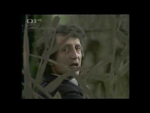 Pavel Bobek - Lásko, mně ubývá sil (1979)