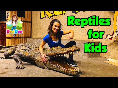 Kids Learn About Reptiles