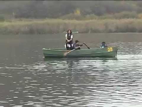 Pescuit la rapitor Sacalaia