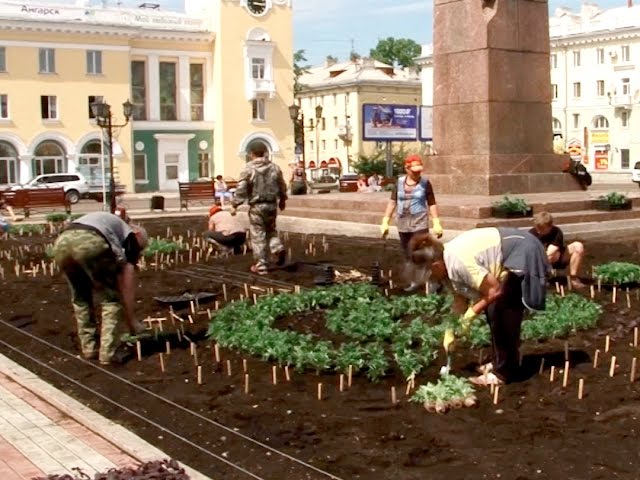 В Ангарске высаживают цветы