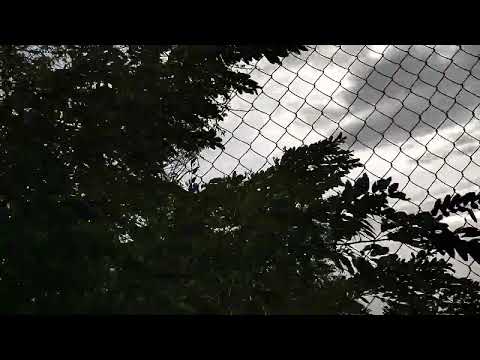 Driving up from the Filtri Di Aurisina beach I, Trieste, Venezia-Giulia, Italy, 04/10/22