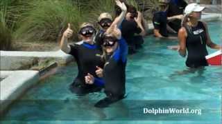 preview picture of video 'Miami Youth Hostel Dolphin Tour'