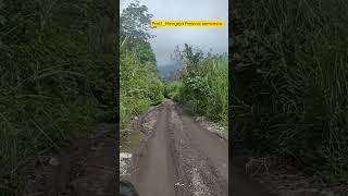 Download lagu Mengejar pesona gunung guntur mp3