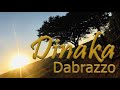 Dabrazzo   Cowboy's Dinaka Official Audio Ft Sbally Sa kazi