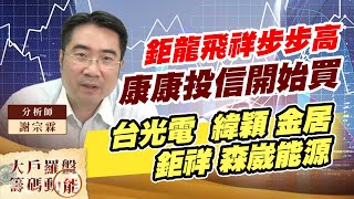 鉅龍飛祥步步高 康康投信開始買 (圖)