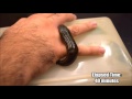 Leech Feeding Time Lapse