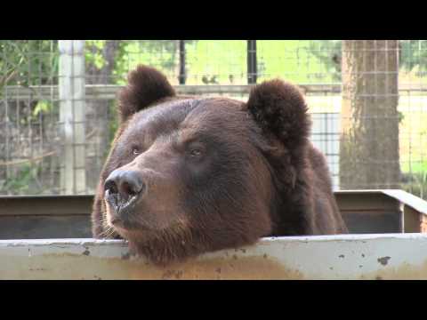 GW Zoo Animal Spotlight - Ozzy