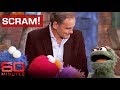 Oscar The Grouch Takes On TV Reporter 60 Minutes Australia