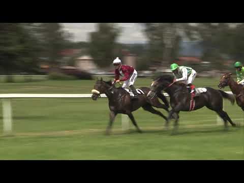 2. dostih - Cena Hipodrom Holoubek - dostihy Karlovy Vary 5. 7. 2020