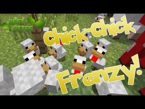 Best Bites || Chick-Chick Frenzy!!